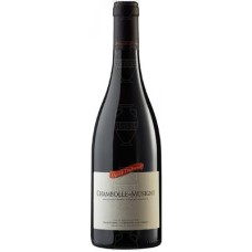 Chambolle Musigny David Duband