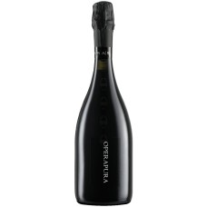Lambrusco Grasparossa di Castelvetro Opera Pura Opera 02