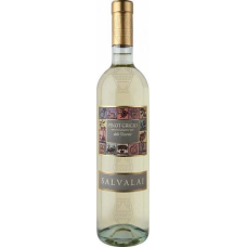 Salvalai Pinot Grigio delle Venezie