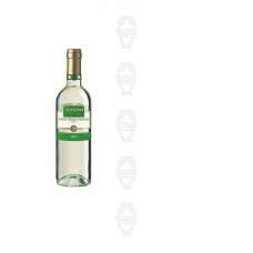 Alteno Pinot Grigio