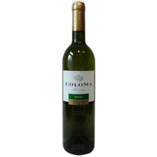 Coloma Muscat Blanco Joven