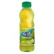 Soft drink Nestea Green Tea citrus