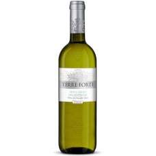 Terre Forti Pinot Grigio delle Venezie