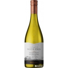 Castillo de Molina Sauvignon Blanc